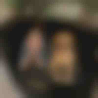 Wasserfeste Hundedecke für den Autositzrück | CARIPET